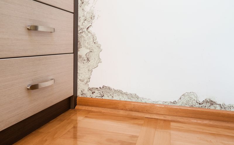 Water Damage Detection and Repair Tips