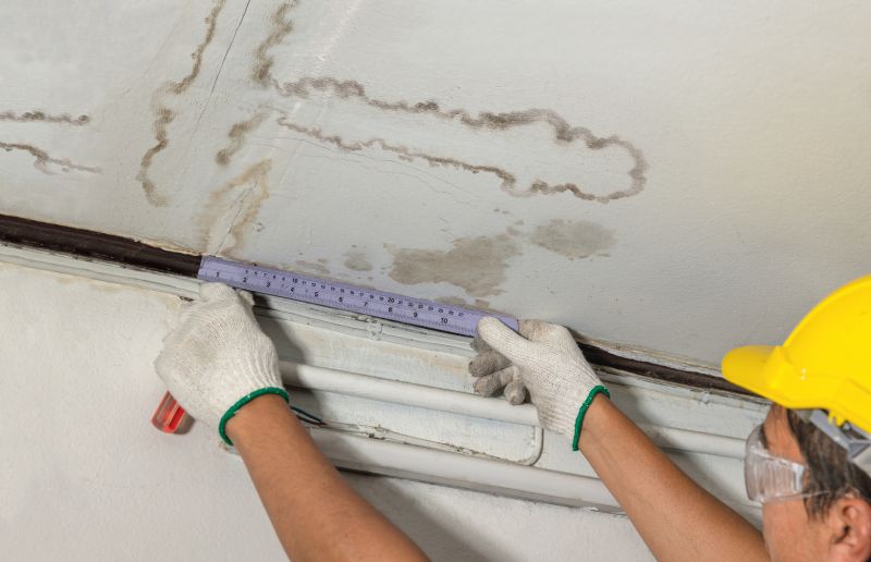Water Damage Detection and Repair Services