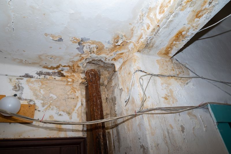 Locate And Repair Water Damage