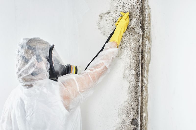Mold Remediation Experts