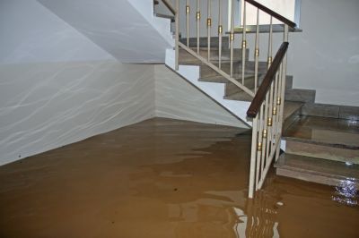 Prevents Structural Damage